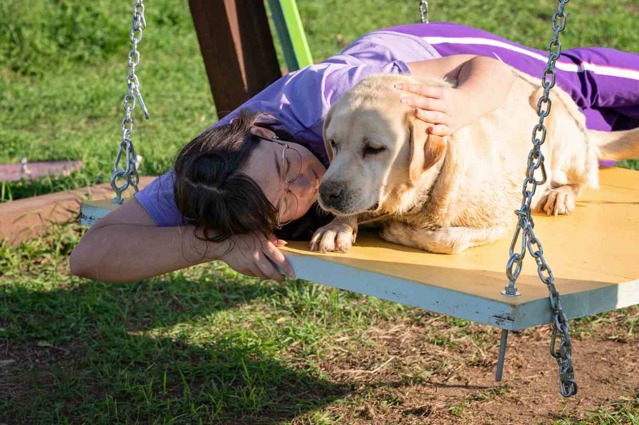 Assistance dog sitting beside an autistic child, both looking happy