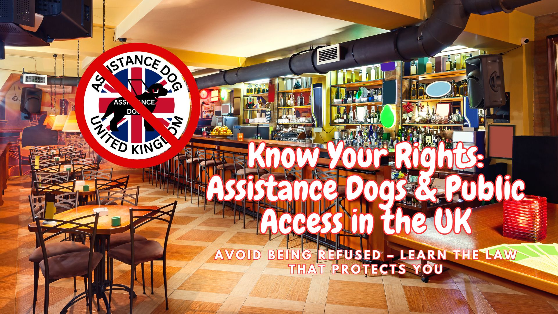 Man Refused Pub Entry Over Assistance Dog – What UK Law Really Says
