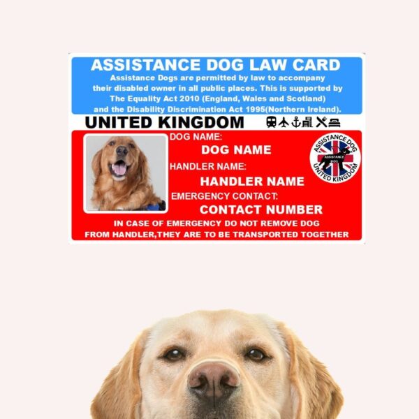 Assistance Dog Essentials