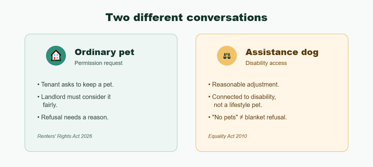 Comparison: ordinary pet vs assistance dog — two different conversations