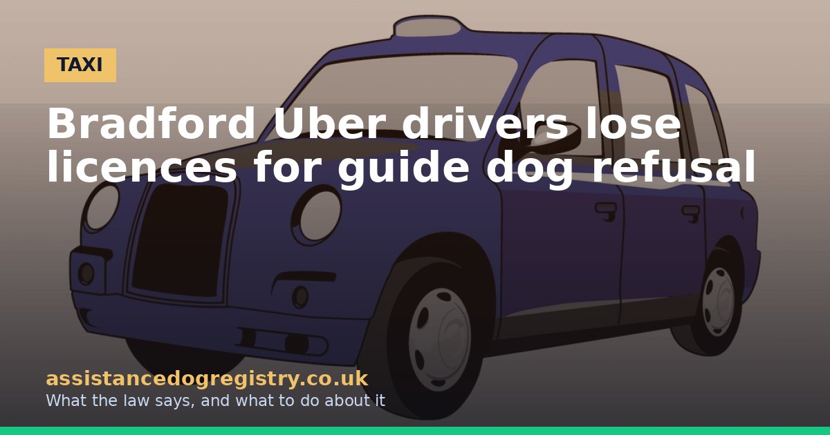 Bradford Uber drivers lose licences for guide dog refusal