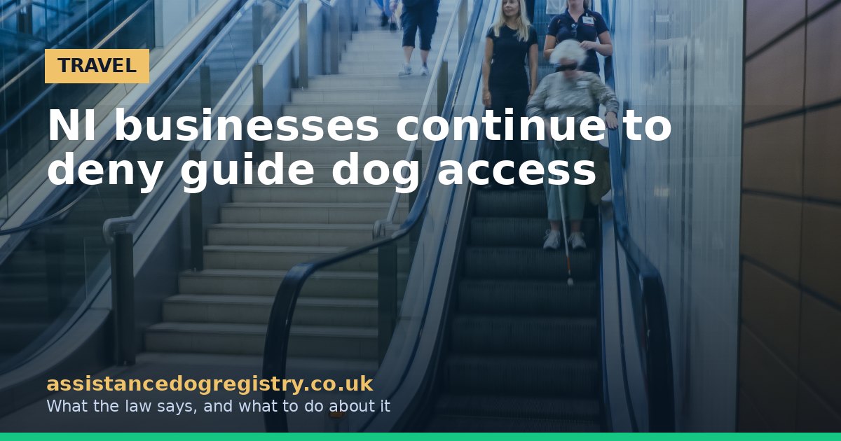 NI businesses continue to deny guide dog access