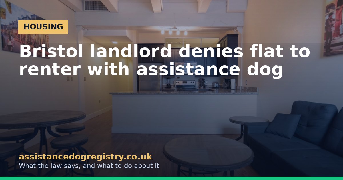 Bristol landlord denies flat to renter with assistance dog