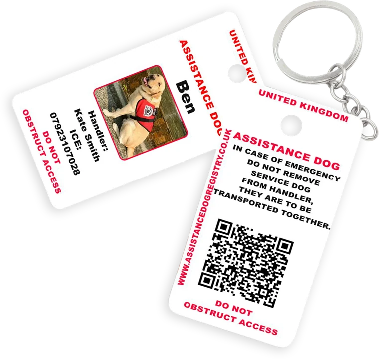 Dog tags on a keyring, front and back
